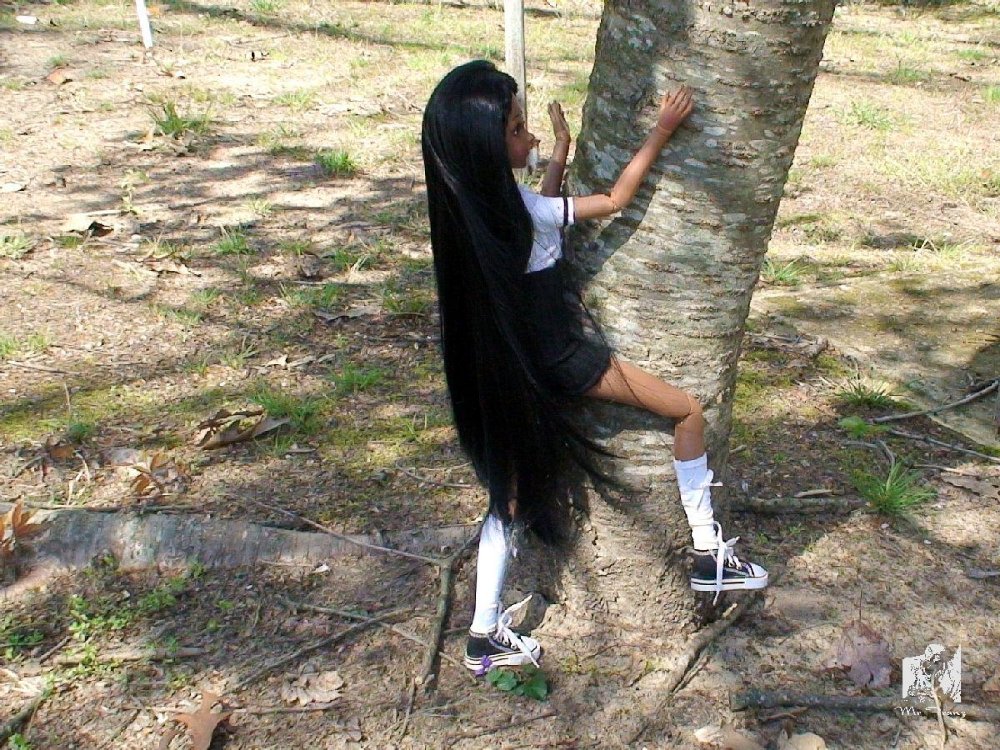 38393_tree002.jpg