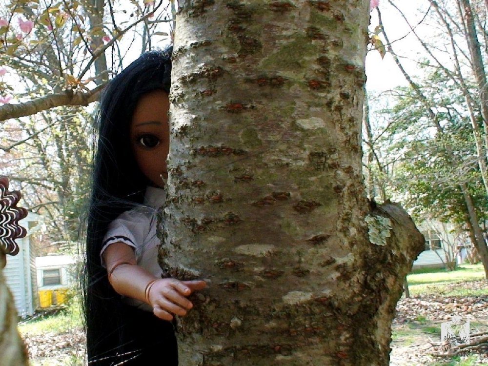 38395_tree004.jpg