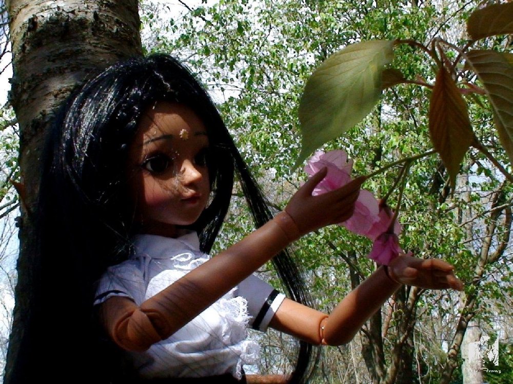38397_tree006.jpg
