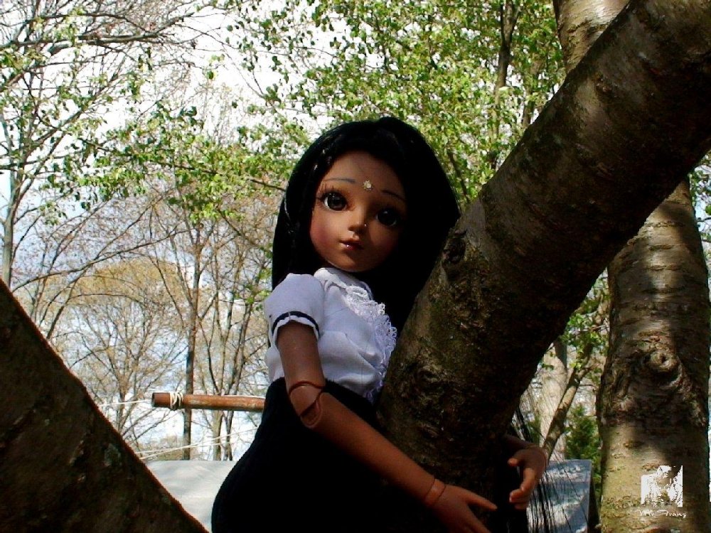 38399_tree008.jpg
