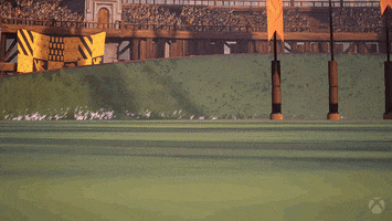 29005_200.gif
