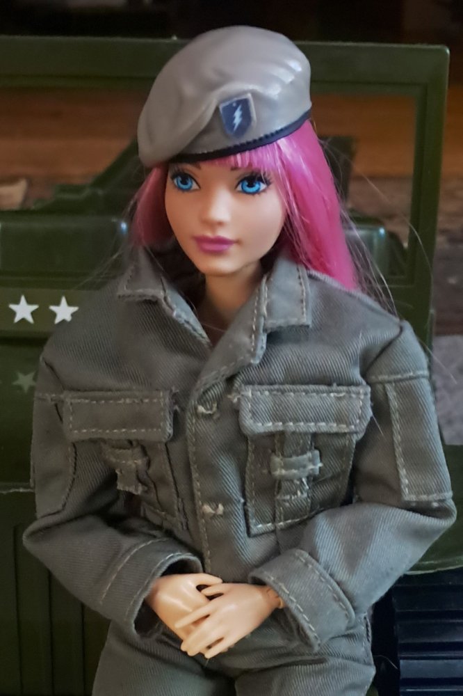 Military Daisy 02.jpg