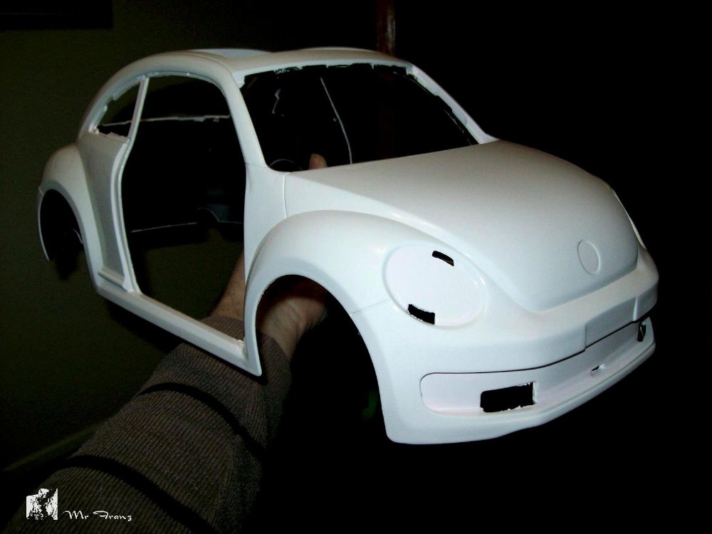 34490_Bug030.JPG