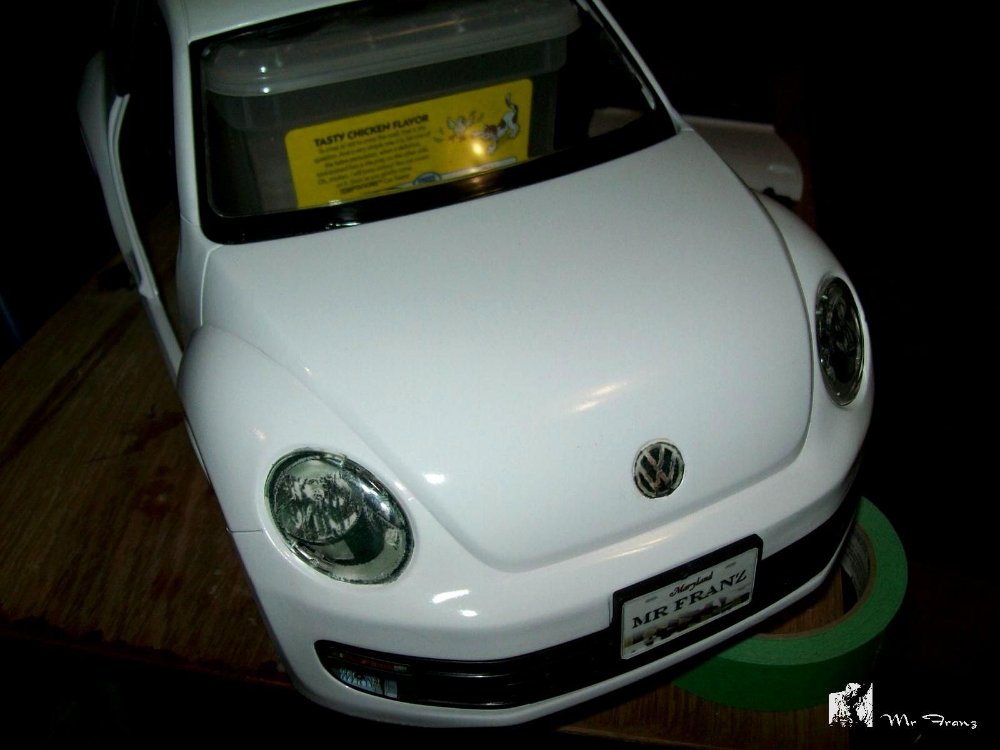 34628_Bug045.JPG