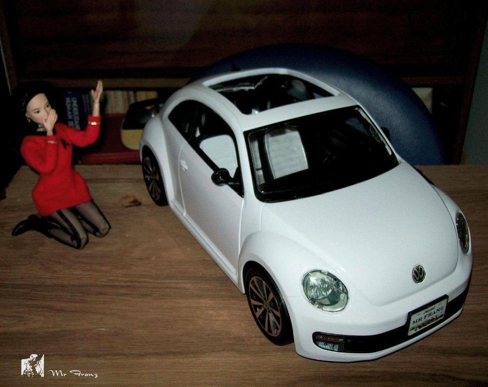 34629_Bug046.JPG