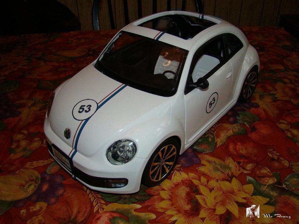 34631_Bug048.JPG