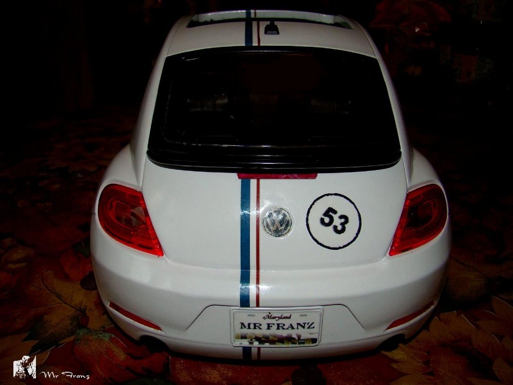 34637_Bug053.JPG